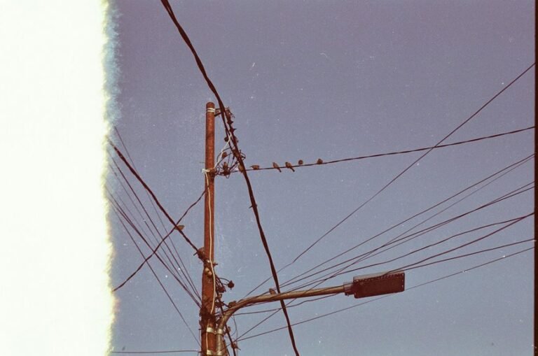 support line available now