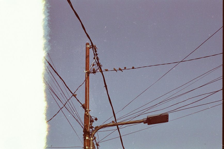 support line available today